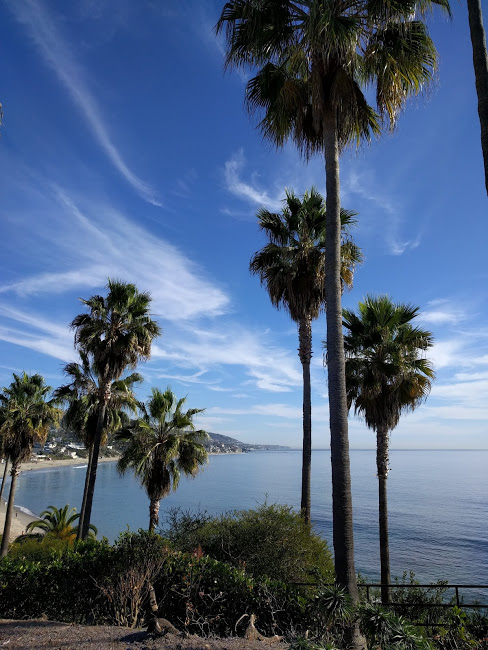 Laguna Beach Jan 2018